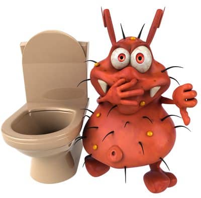 Wetten, dass Sie Ihre Toilette immer falsch geputzt haben?